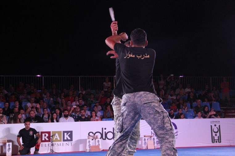 Martial Arts Festival